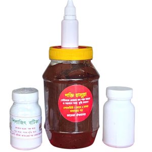 শক্তি হালুয়া – শিলাজিৎ কম্বো